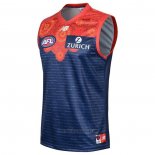 Melbourne Demons AFL Jersey 2020-2021 Indigenous