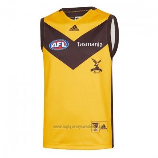 Hawthorn Hawks AFL Jersey 2020 Away